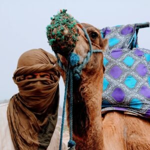 MOROCCO Group Trip: April 22 - 28, 2027